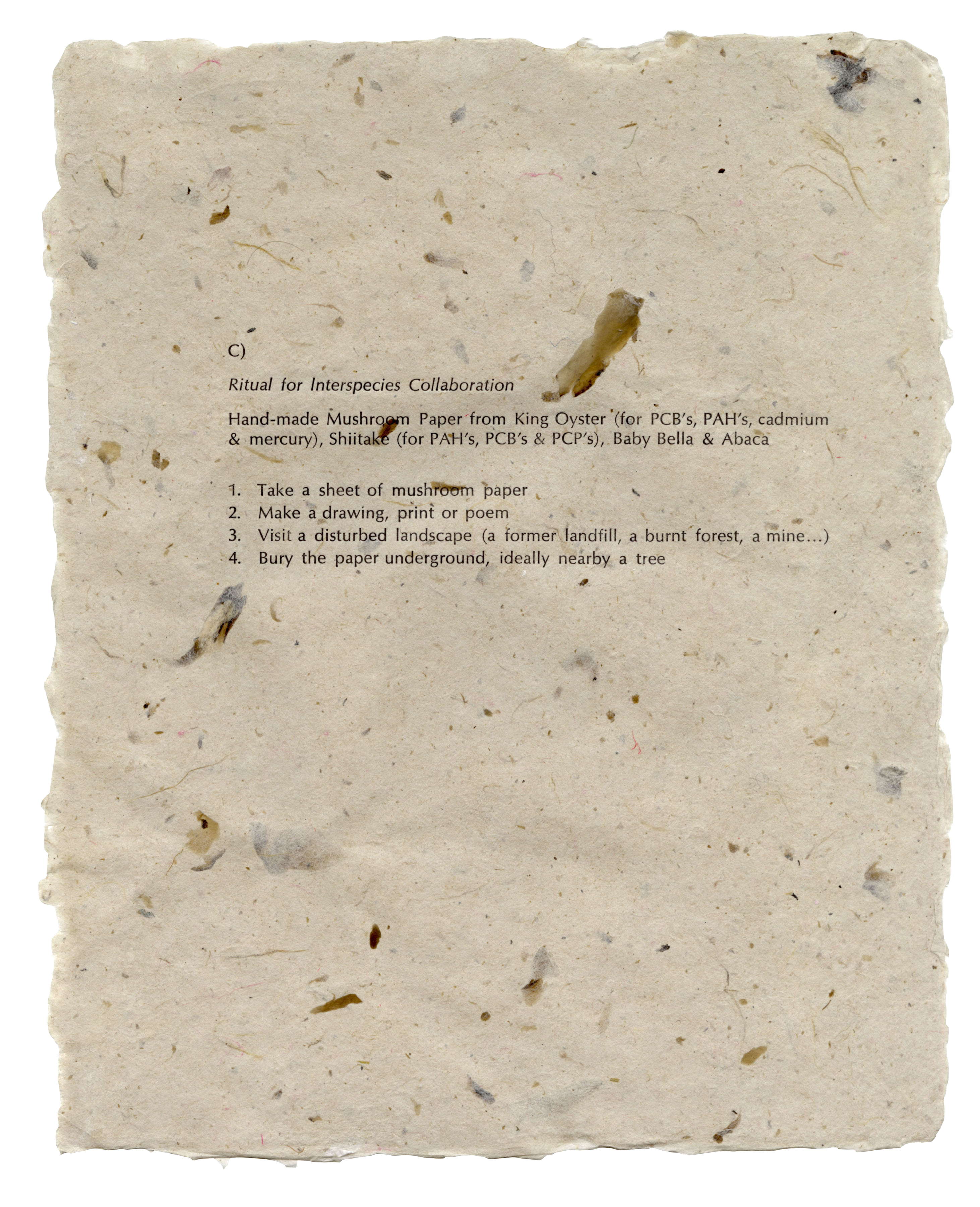 Ritual for Interspecies Collaboration